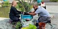 Container Planting Workshop 2025 | Untermyer Gardens Conservancy