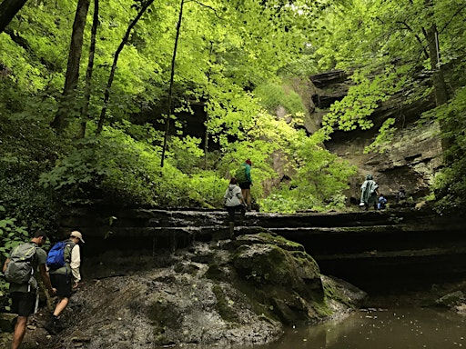 Golden Hour Hike to Elk Lick Falls | Floracliff Nature Sanctuary