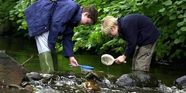 Extreme River Dipping for 8 to 12 year olds | Water of Leith Conservation Trust and Visitor Centre
