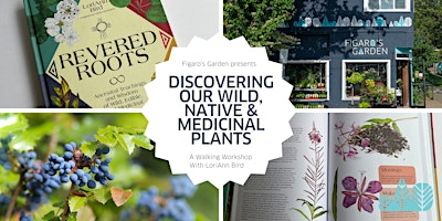 Walk & Talk: Discovering Our Wild, Native, and Medicinal Plants | Figaro's Garden
