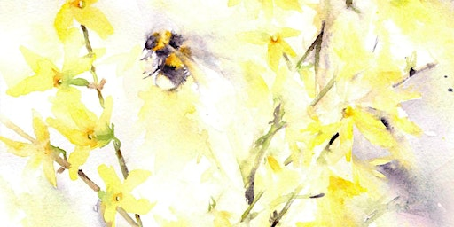 Attenborough in Watercolour - Painting Workshop | Attenborough Nature Reserve - Parking at ANC