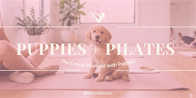 Puppies + Pilates: The Cutest Workout with Puppies | Blueprint Coffee Project