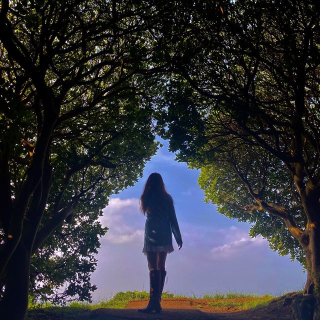 달달함의 시각화 키세스 존, 도두봉🌳