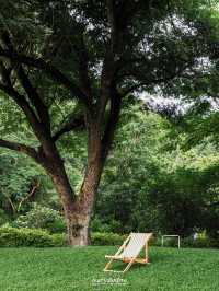 🍃Mulberry Mellow คาเฟ่ในสวนสุดร่มรื่นแห่งเมืองกาญ