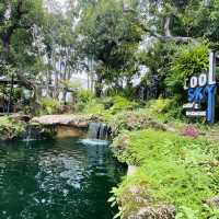 คาเฟ่สวนสวย Cool Sky Cafe