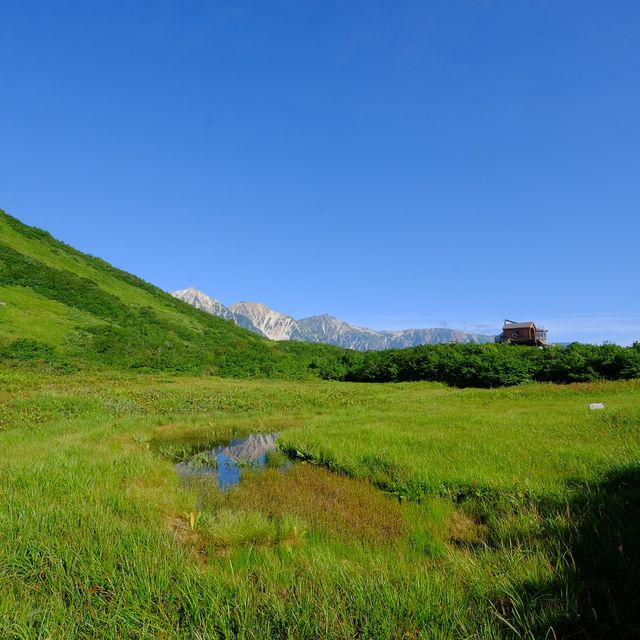 夏の鎌池湿原