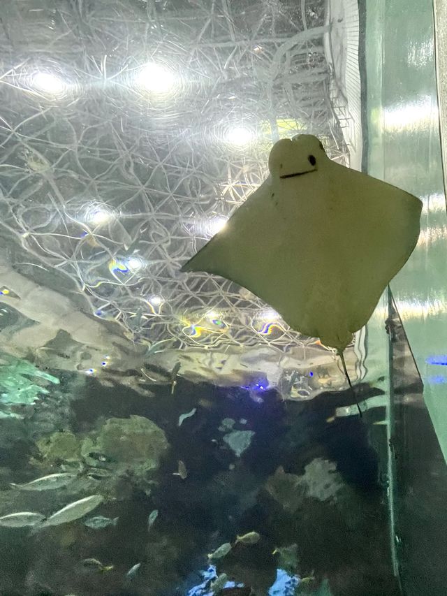 名古屋の観光名所　　名古屋港水族館