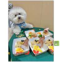 北角最新人同寵物都歡迎嘅美食餐廳