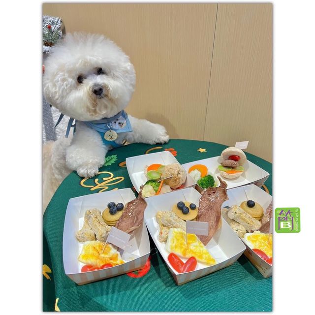 北角最新人同寵物都歡迎嘅美食餐廳