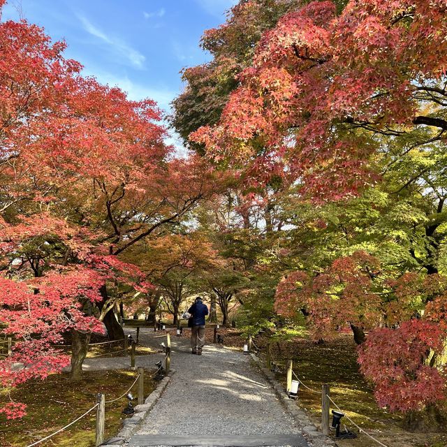 【京都】紅葉の名所　東福寺