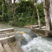 1858 semungkis, Hulu Langat