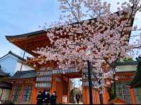 京都　SAKURA 桜めぐり❗️八坂神社の桜に感動❗️