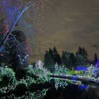 Christmas lights festival at the botanical gardens 