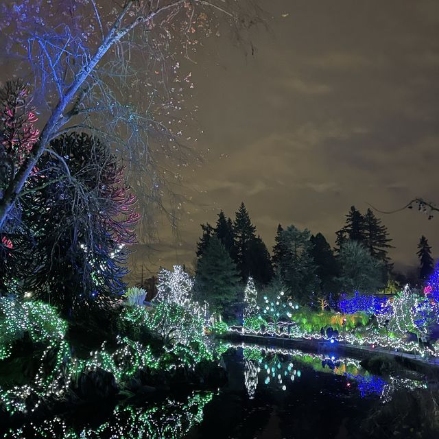 Christmas lights festival at the botanical gardens 