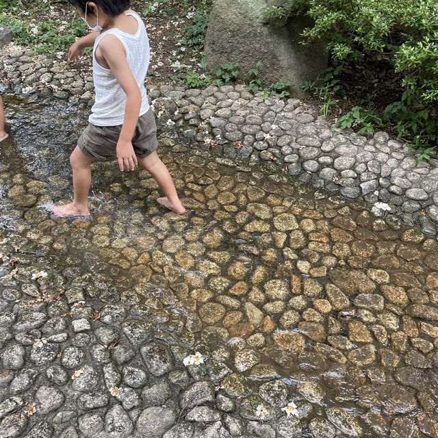 水遊びできる公園ならここ三ツ池公園