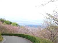 歐洲城堡風格｜松山綜合公園📸️🤩🤩