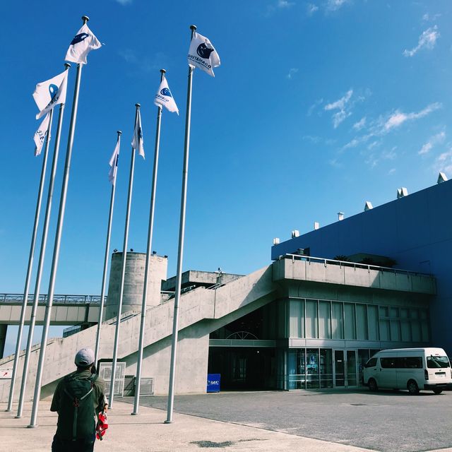 日本大分 - 必遊海之卵水族館 日本大分 - 必遊海之卵水族館