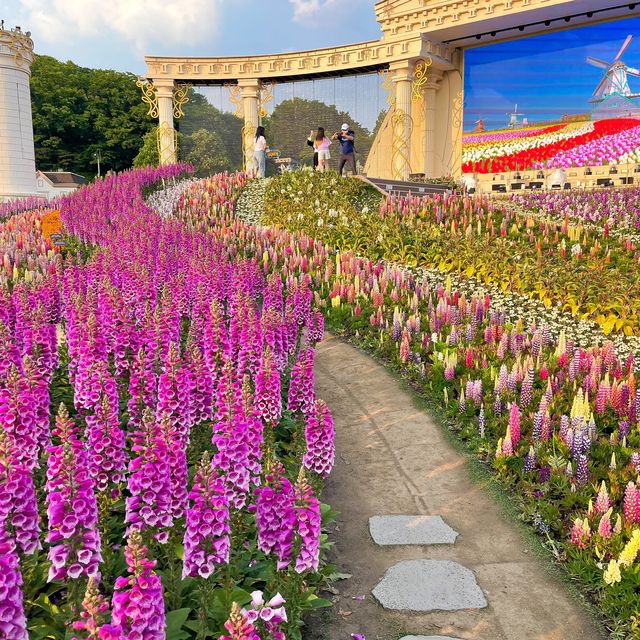 에버랜드: 용인 가볼만한 곳, 꽃축제 보러가기 딱!