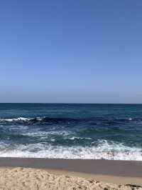 여름 해수욕장은 강릉 '강문해변' ! 🌊 
