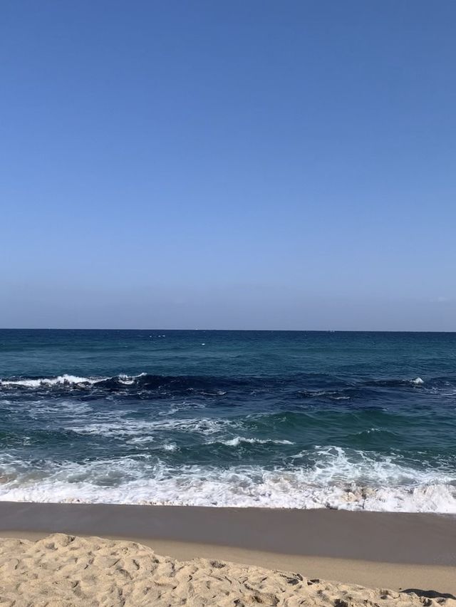 여름 해수욕장은 강릉 '강문해변' ! 🌊 