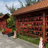 Most Beautiful Park In Zibo! 😍😍😍