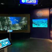 Seville aquarium 