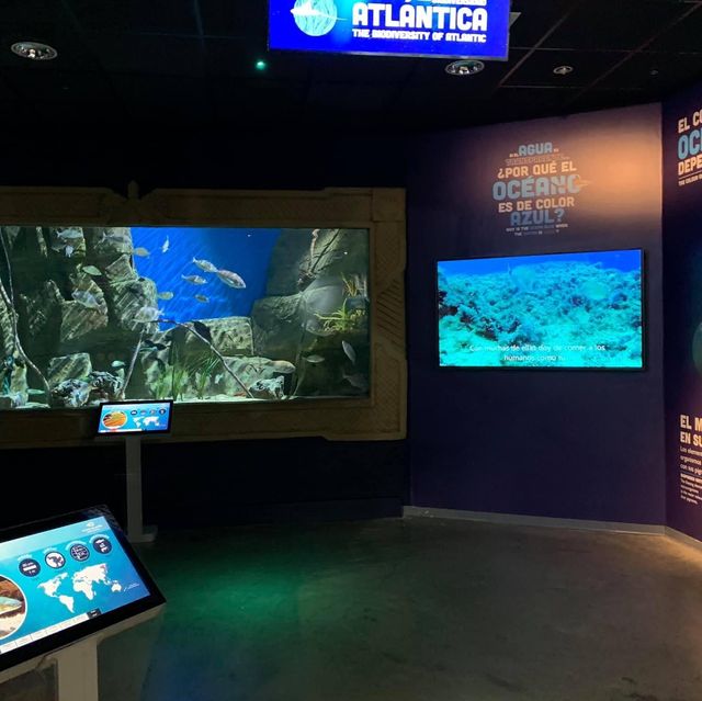 Seville aquarium 