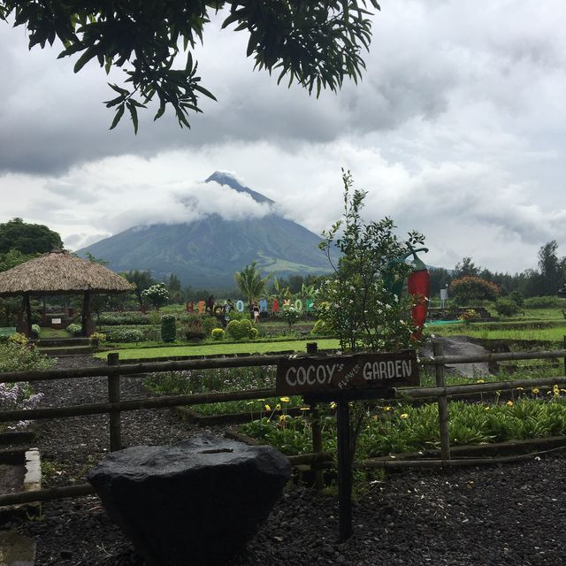 Mayon Volcano (the perfect cone and active volcano)