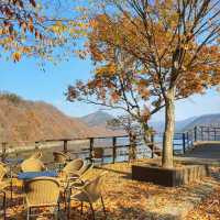충북 옥천 수생식물학습원, 유럽마을에서 가을 즐기기🍂🍁