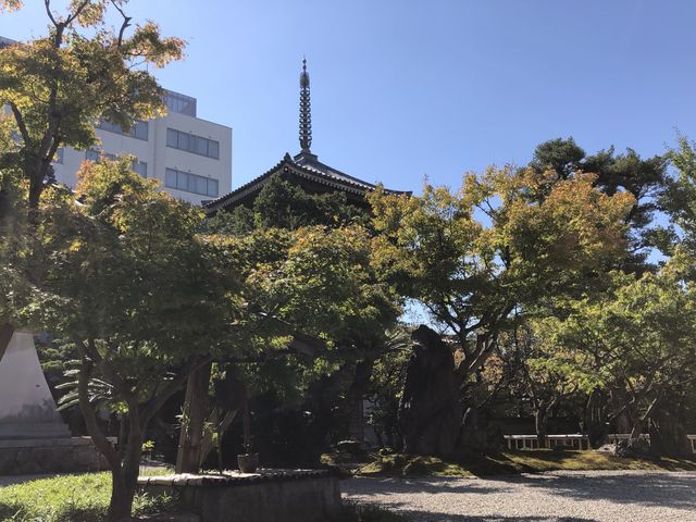 【福岡】二日市駅近くの素敵な寺院