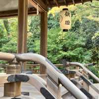 【京都】京都三名水を味わえ四季の花が楽しめる