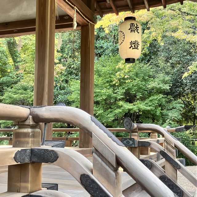 【京都】京都三名水を味わえ四季の花が楽しめる
