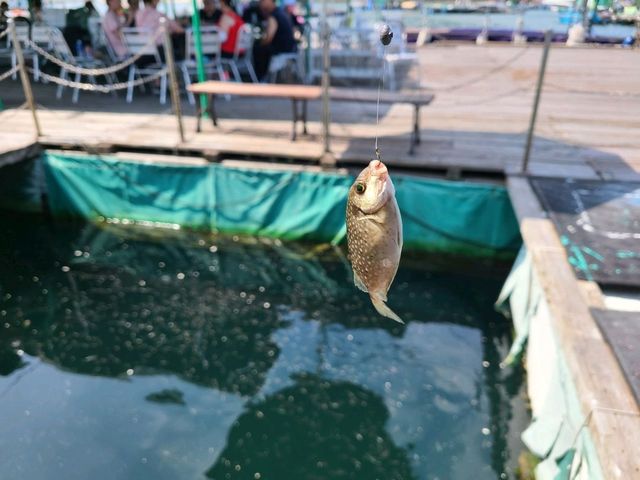 【另類水上活動~魚排BBQ🔥】