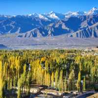 Autumn in Ladakh 🌿🍁
ฤดูใบไม้เปลี่ยนสีที่เลห์ 🇮