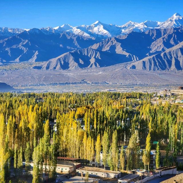 Autumn in Ladakh 🌿🍁
ฤดูใบไม้เปลี่ยนสีที่เลห์ 🇮
