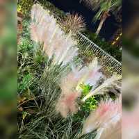 MOKO秘密花園🌹