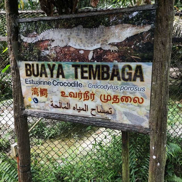 Wonderful Experience in Taiping Zoo