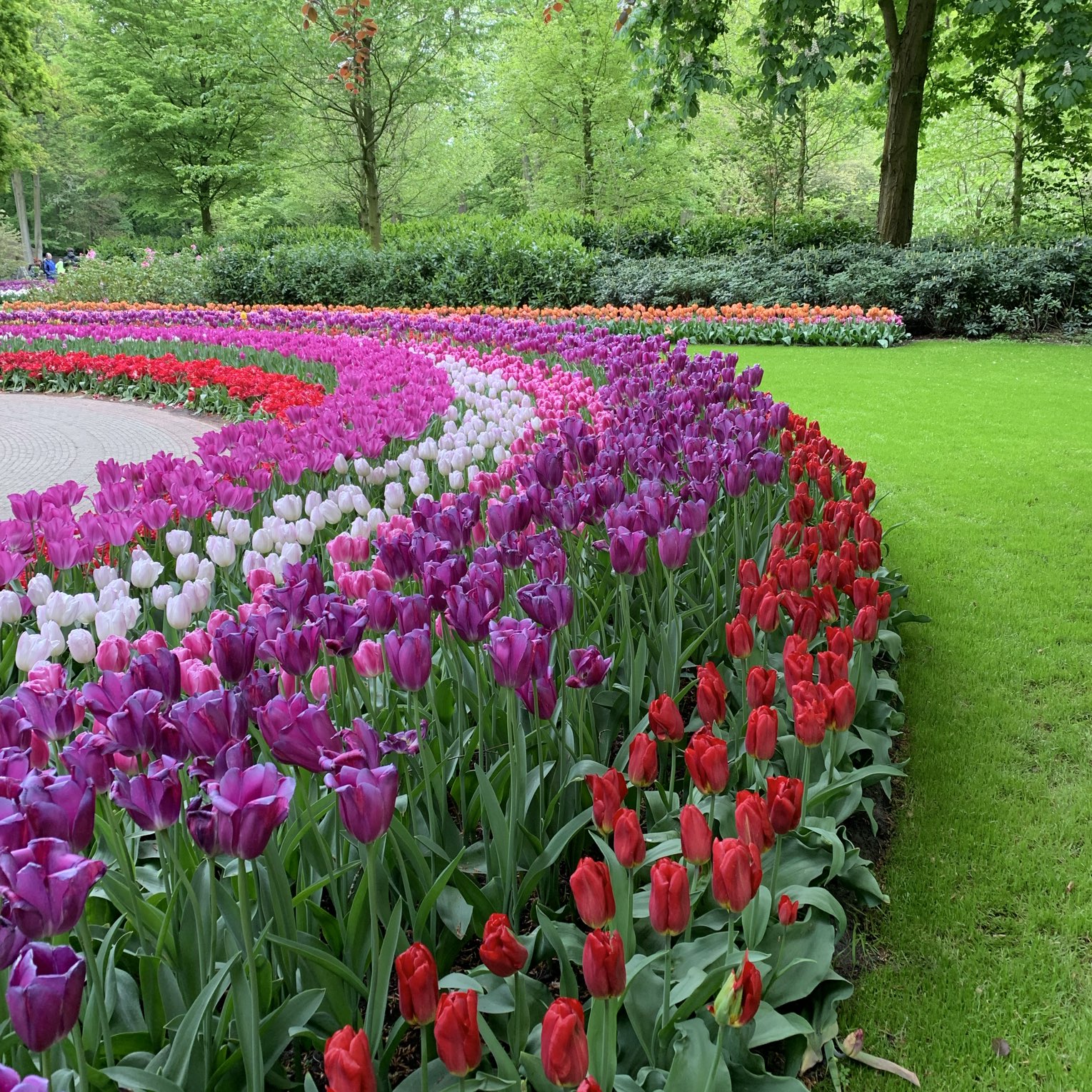 オランダ キューケンホフ公園 Trip Com リスセの旅のブログ