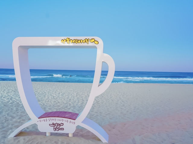 감성저격 핑크빛 노을의 강릉 안목해변