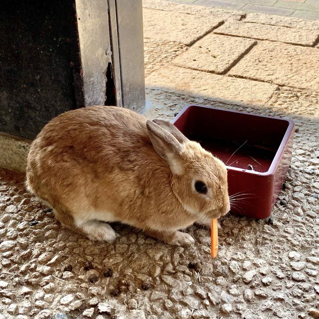 【石川】月うさぎの里