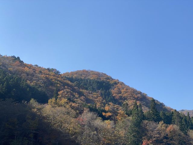 古峯神社