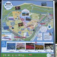 【福岡】ネモフィラが美しい海浜公園