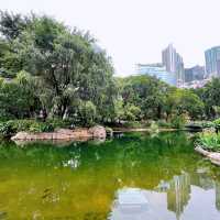 香港公園🏞鬧市中尋找一點寧靜😌