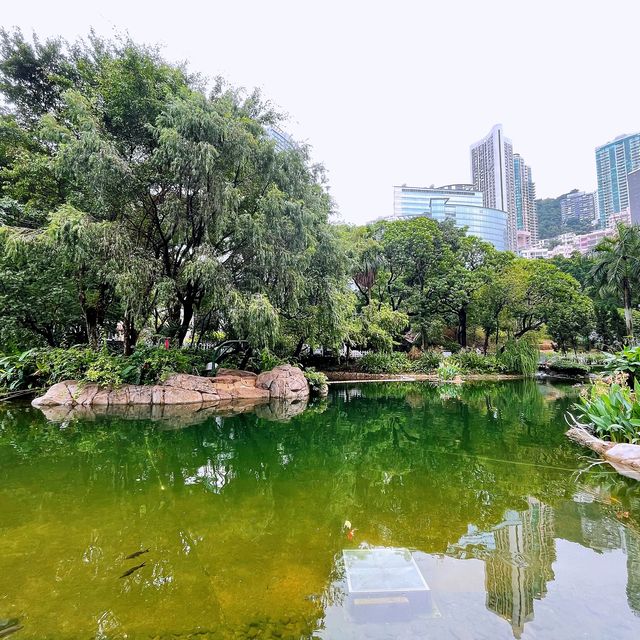 香港公園🏞鬧市中尋找一點寧靜😌