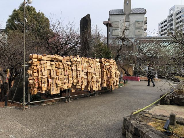 【東京】湯島天満宮 〜梅まつり(3/8まで)〜