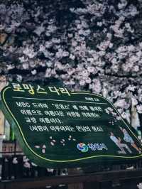 밤이 더 좋은 진해 벚꽃 구경!
