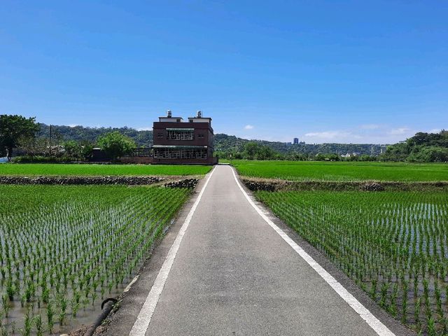 【桃園】秘境景點-順時埔