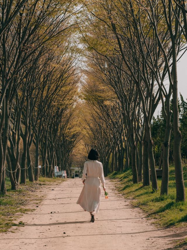 인생샷 찍기 좋은 당진 아그로랜드💚