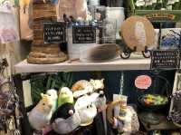 【東京】100羽の鳥ちゃん達と触れ合える