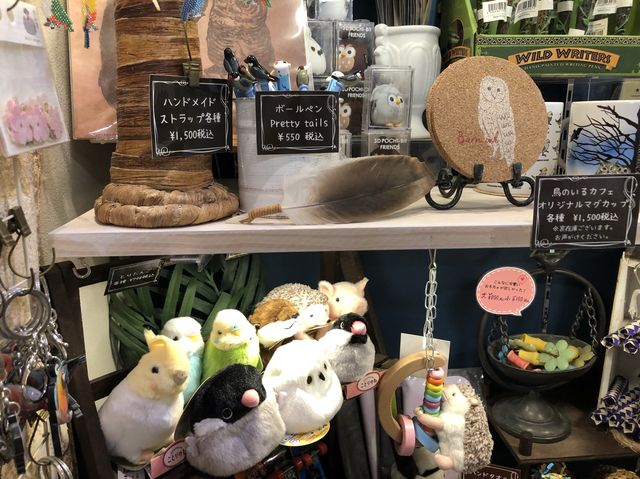 【東京】100羽の鳥ちゃん達と触れ合える